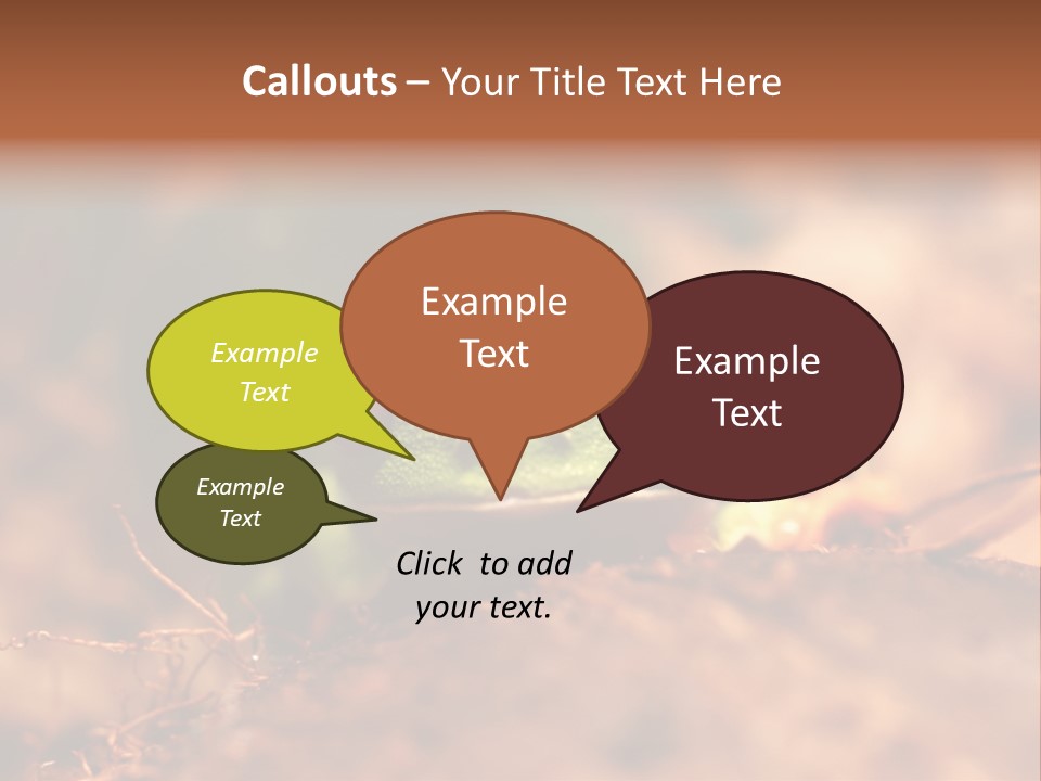 Palmer Pond Water Lily PowerPoint Template