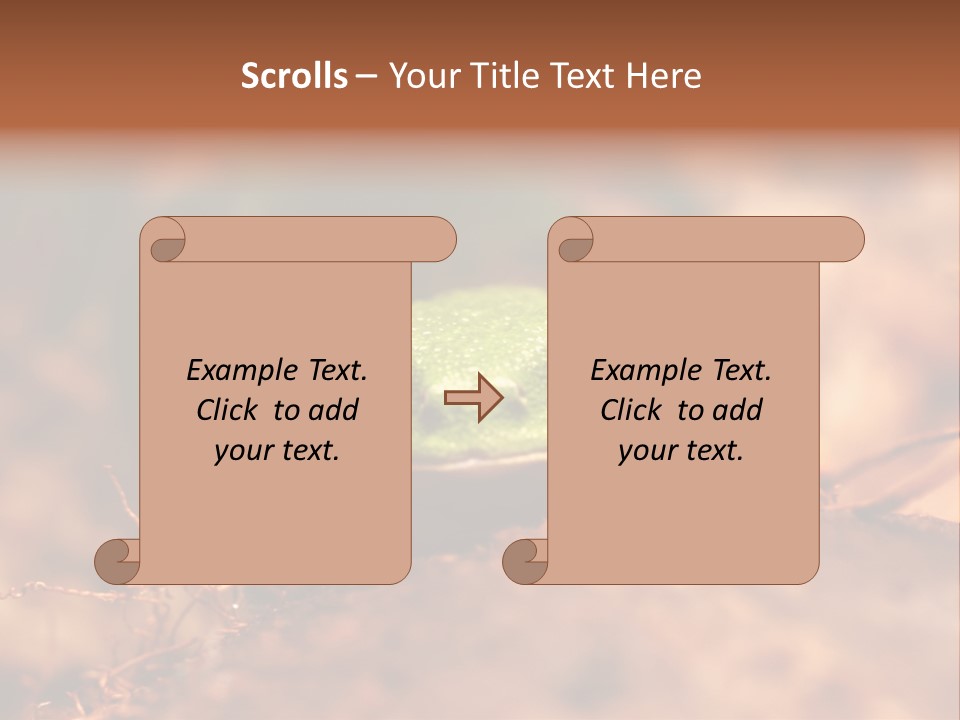 Palmer Pond Water Lily PowerPoint Template