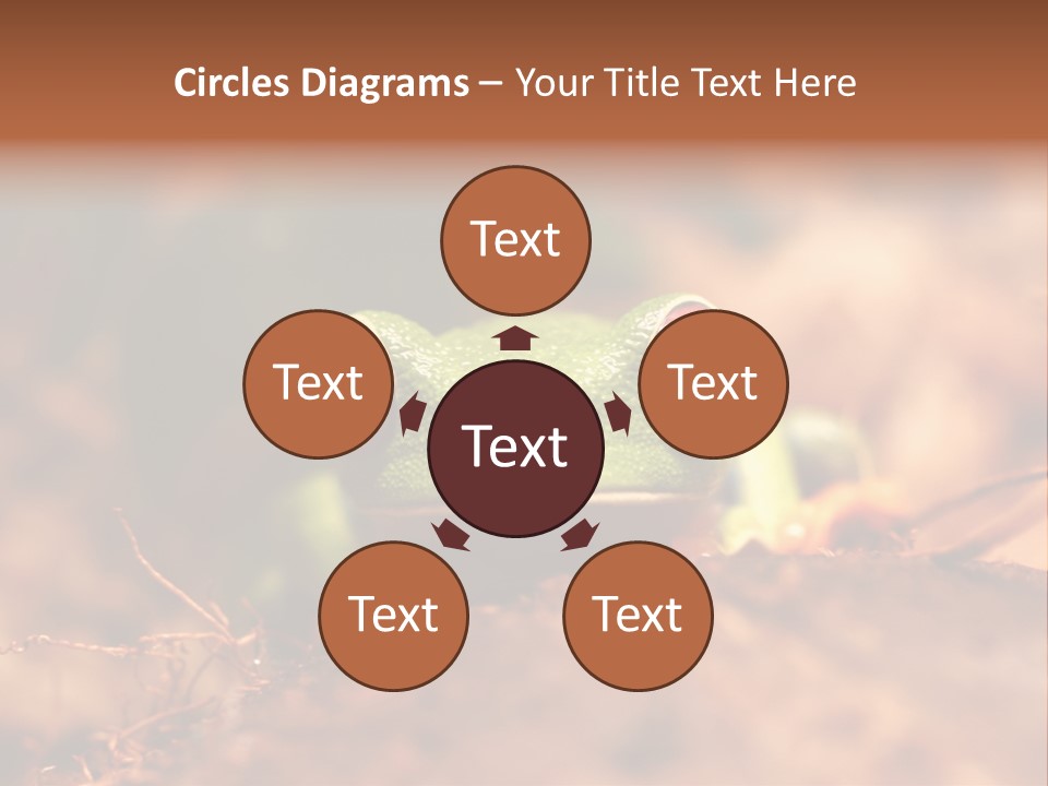 Palmer Pond Water Lily PowerPoint Template