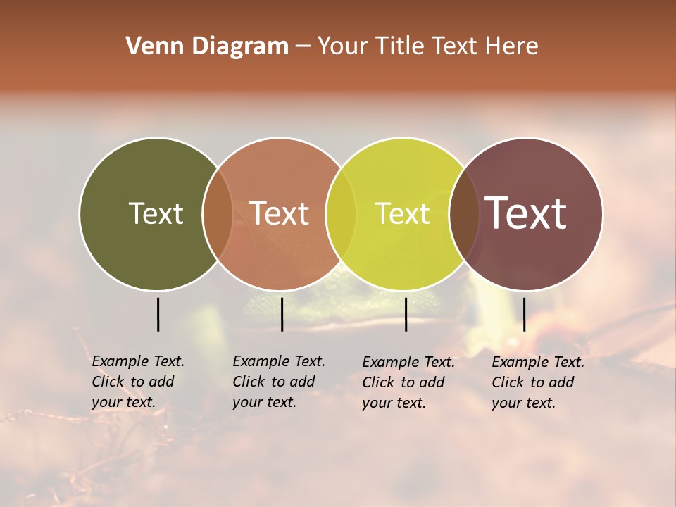 Palmer Pond Water Lily PowerPoint Template