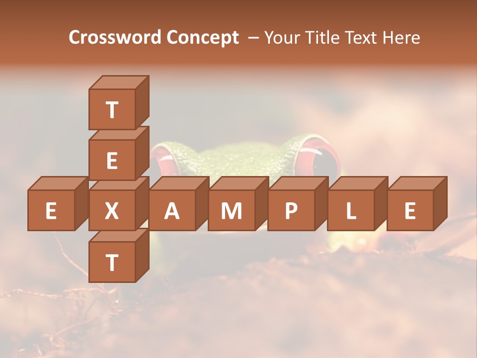 Palmer Pond Water Lily PowerPoint Template