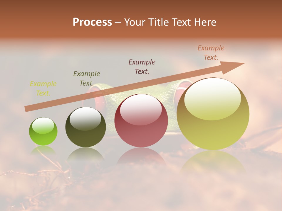 Palmer Pond Water Lily PowerPoint Template