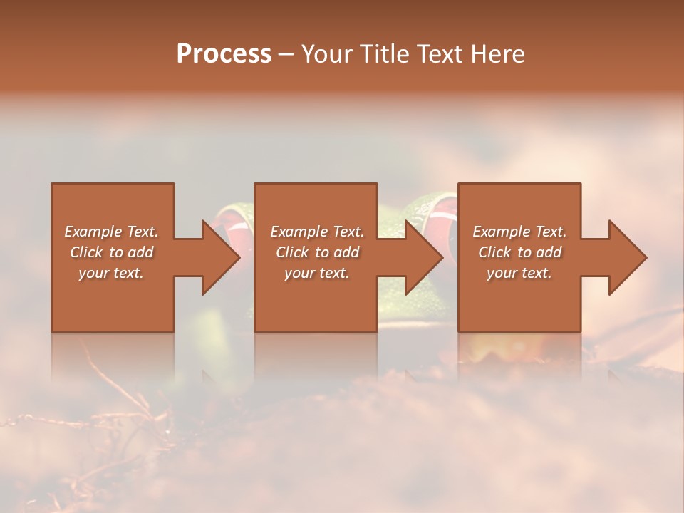 Palmer Pond Water Lily PowerPoint Template