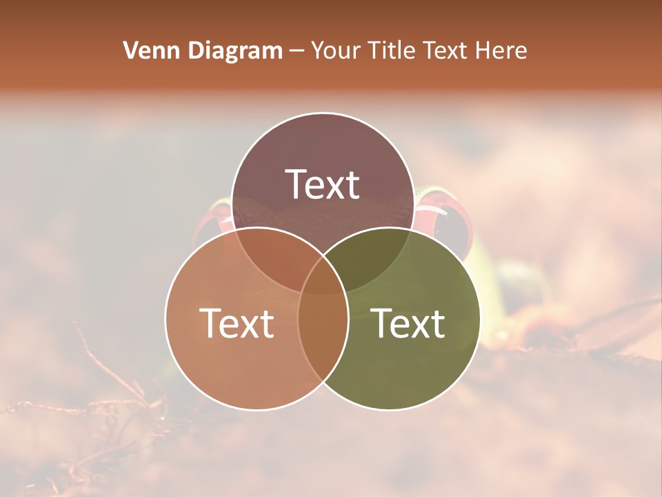 Palmer Pond Water Lily PowerPoint Template