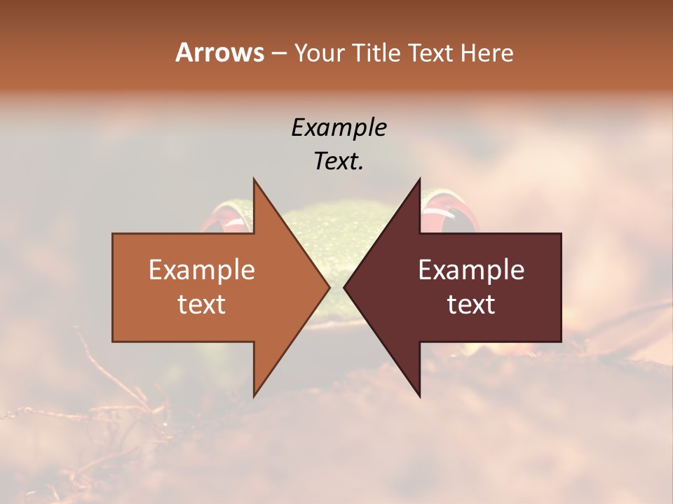 Palmer Pond Water Lily PowerPoint Template