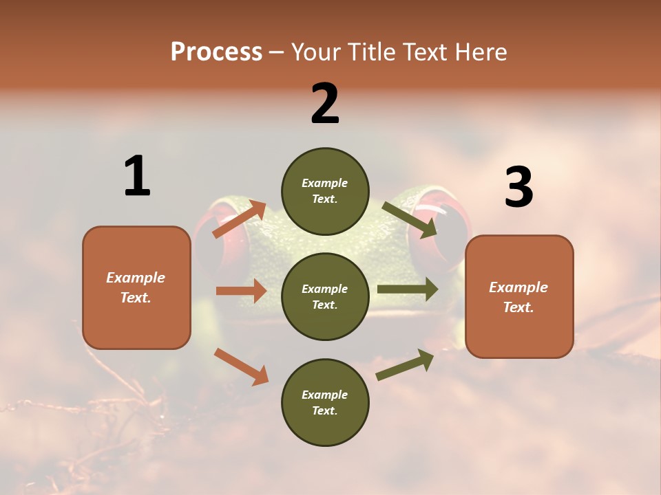 Palmer Pond Water Lily PowerPoint Template