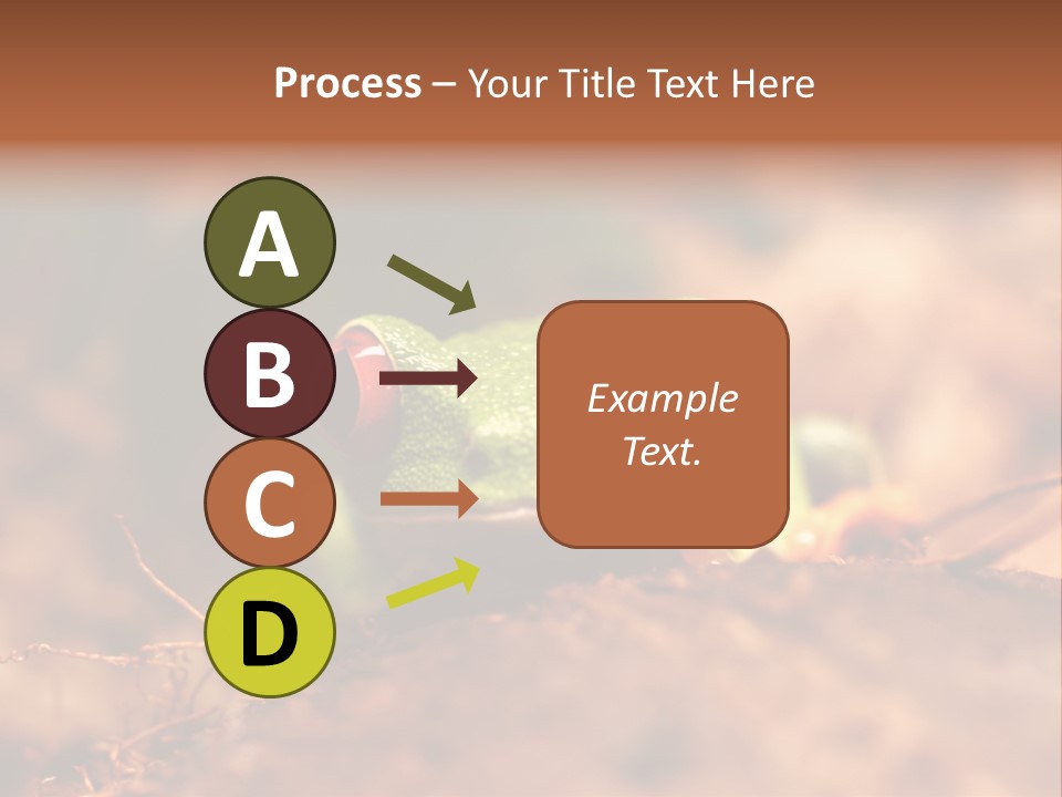 Palmer Pond Water Lily PowerPoint Template