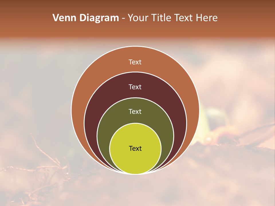 Palmer Pond Water Lily PowerPoint Template