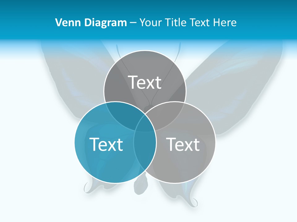 Round Insect Yellow PowerPoint Template