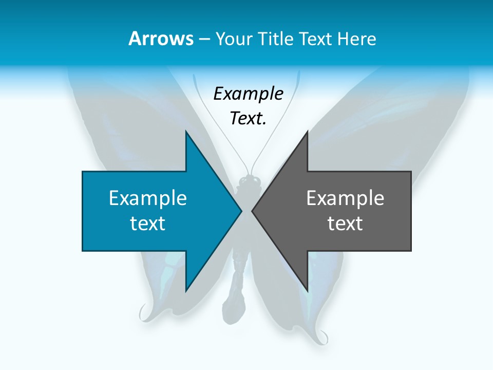 Round Insect Yellow PowerPoint Template