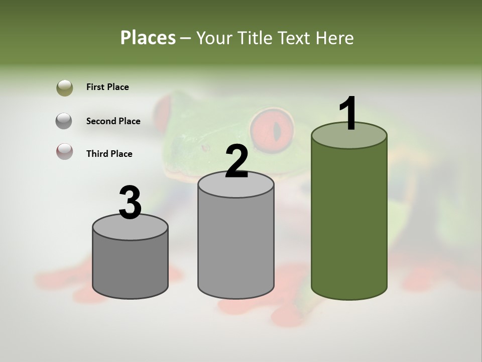 Reptile Tree Frog Colorful PowerPoint Template