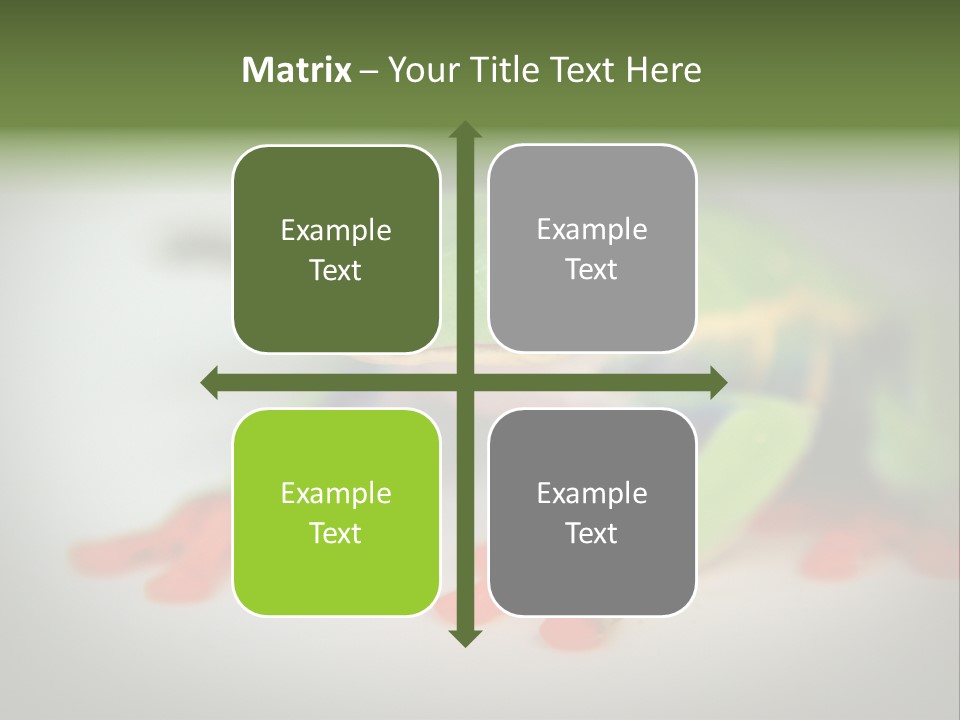 Reptile Tree Frog Colorful PowerPoint Template