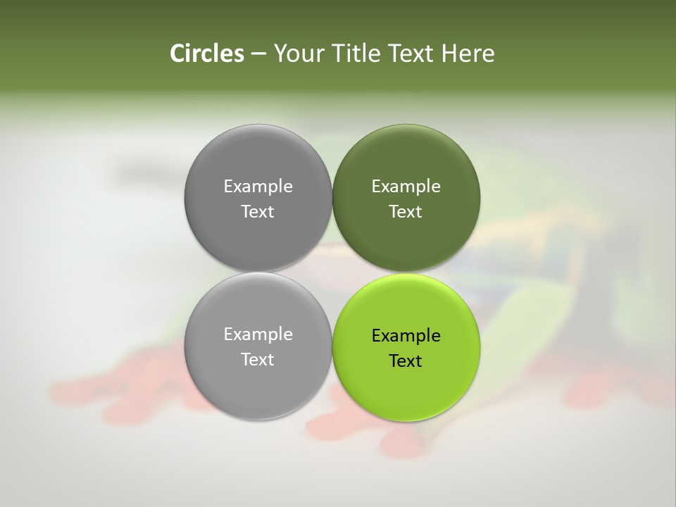 Reptile Tree Frog Colorful PowerPoint Template