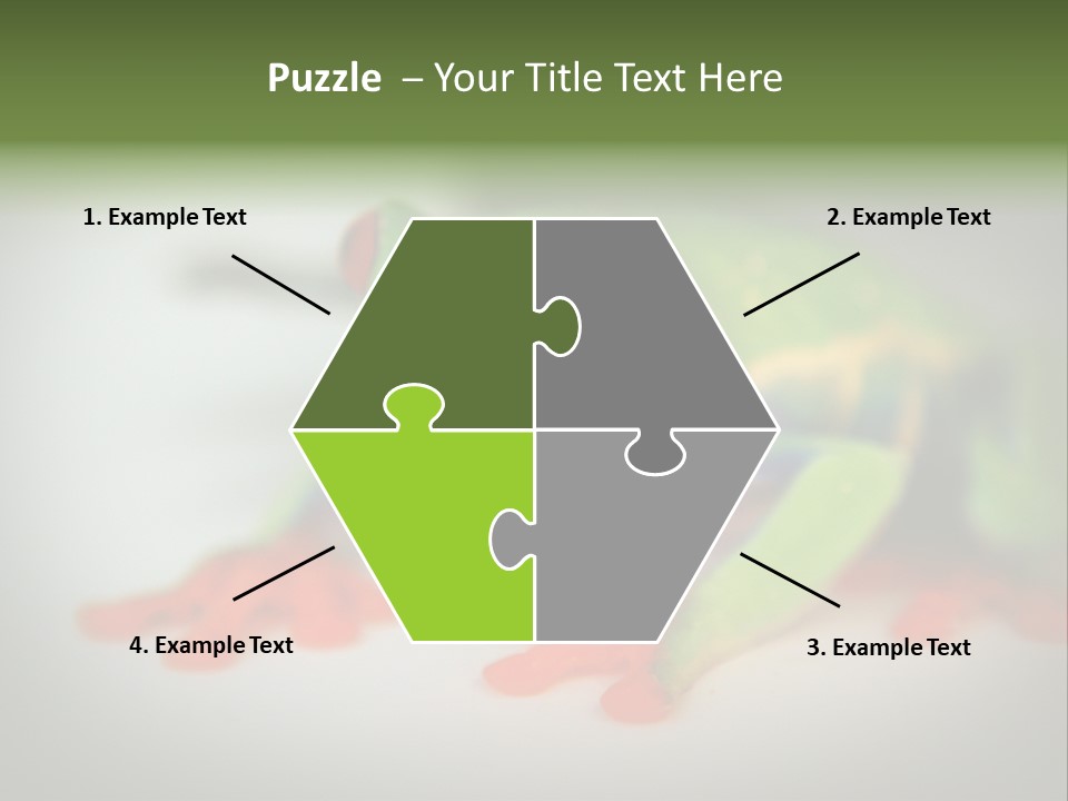 Reptile Tree Frog Colorful PowerPoint Template