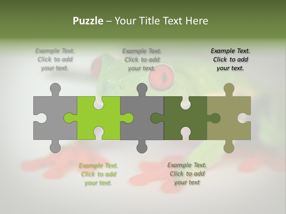 Reptile Tree Frog Colorful PowerPoint Template