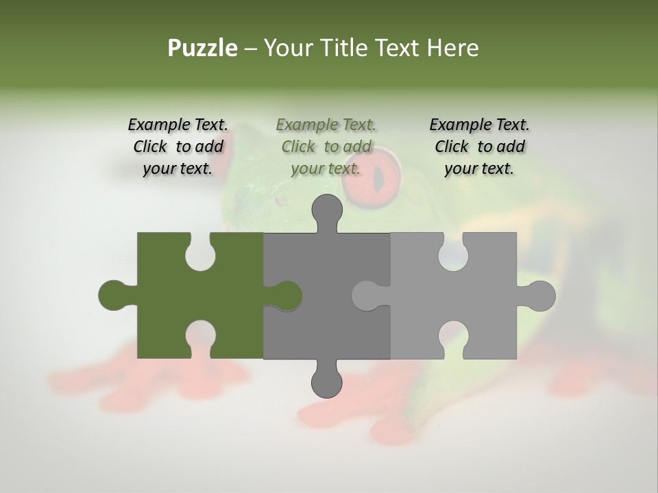 Reptile Tree Frog Colorful PowerPoint Template