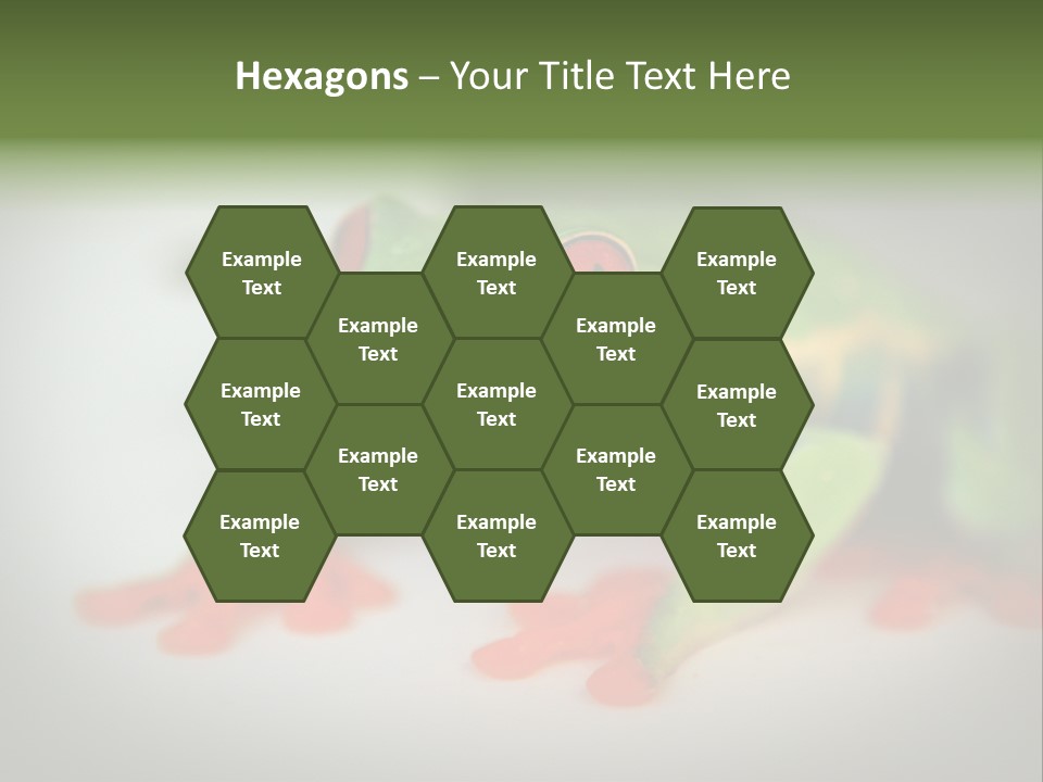 Reptile Tree Frog Colorful PowerPoint Template