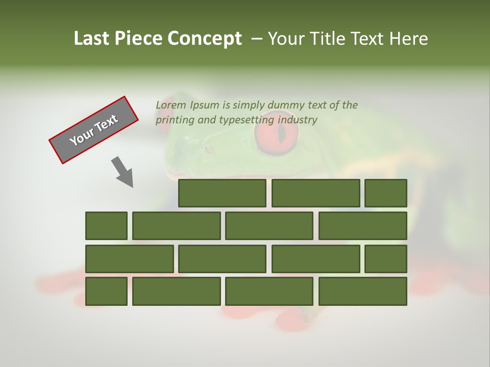 Reptile Tree Frog Colorful PowerPoint Template