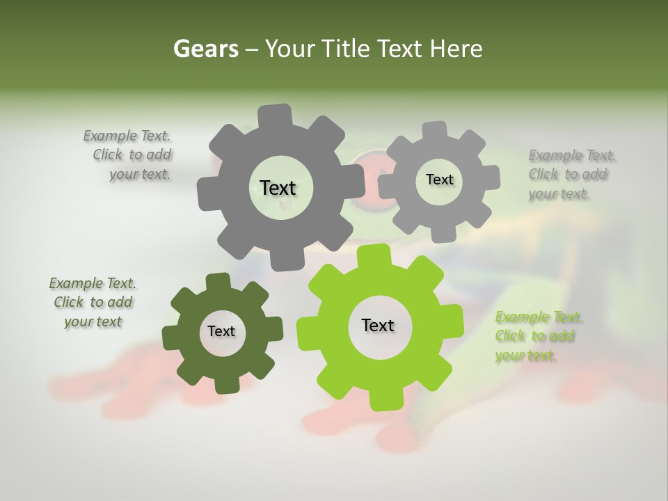 Reptile Tree Frog Colorful PowerPoint Template