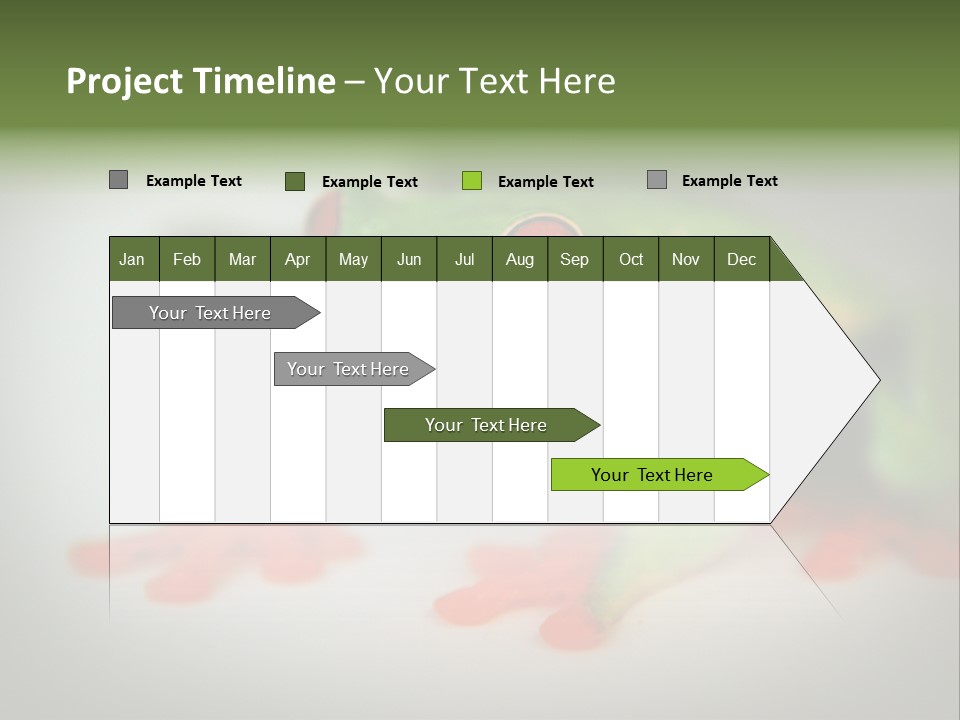 Reptile Tree Frog Colorful PowerPoint Template
