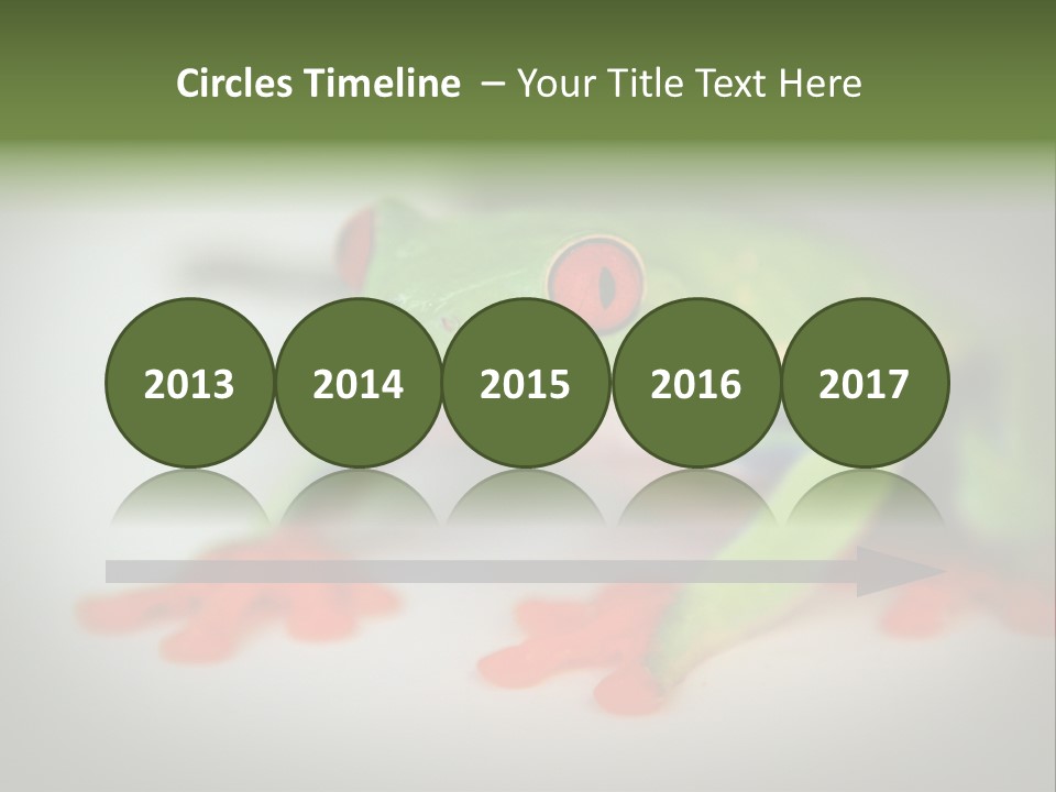 Reptile Tree Frog Colorful PowerPoint Template