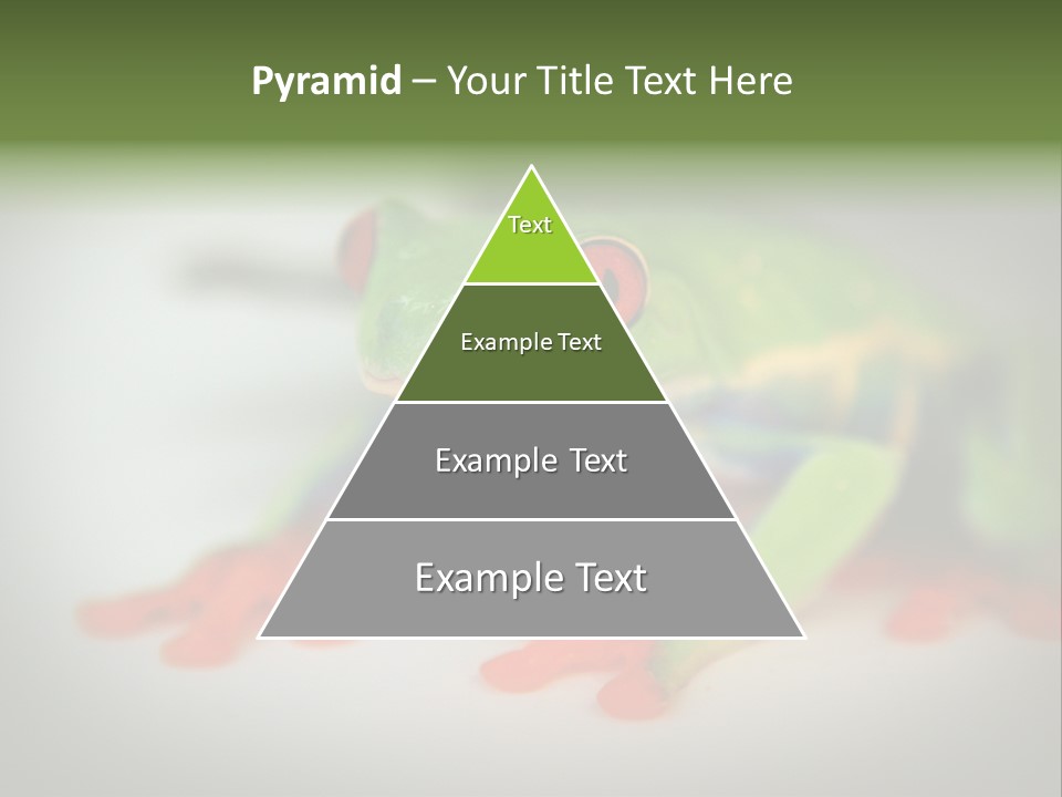 Reptile Tree Frog Colorful PowerPoint Template