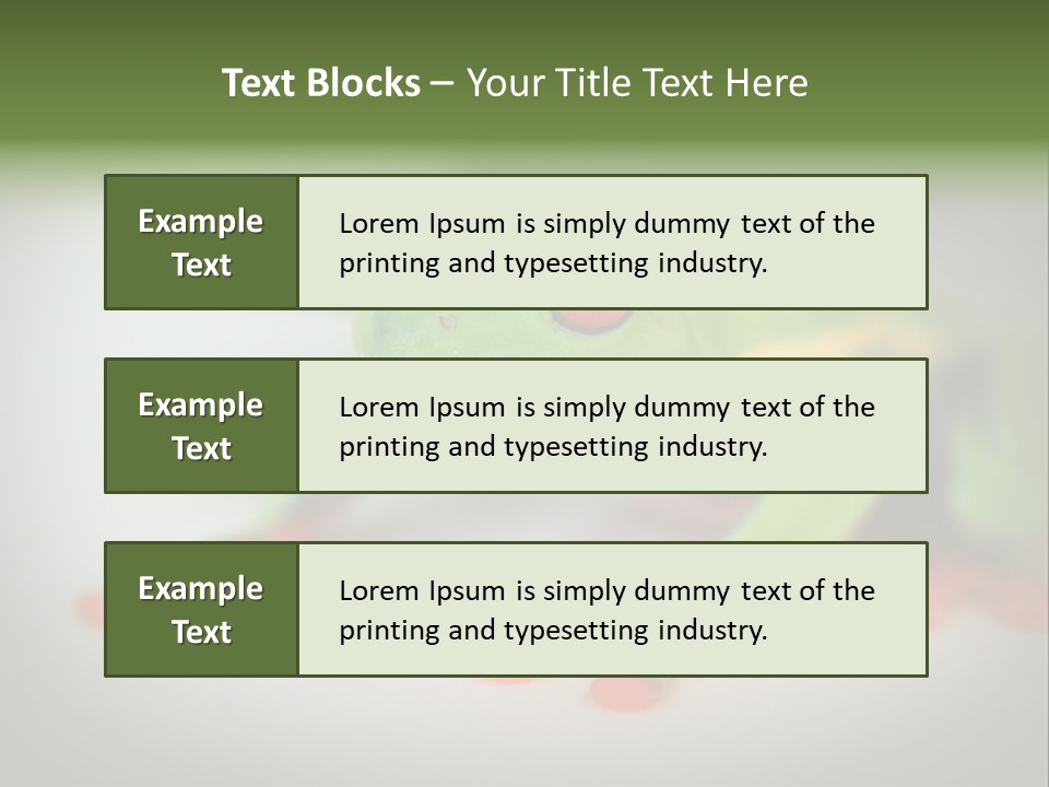 Reptile Tree Frog Colorful PowerPoint Template