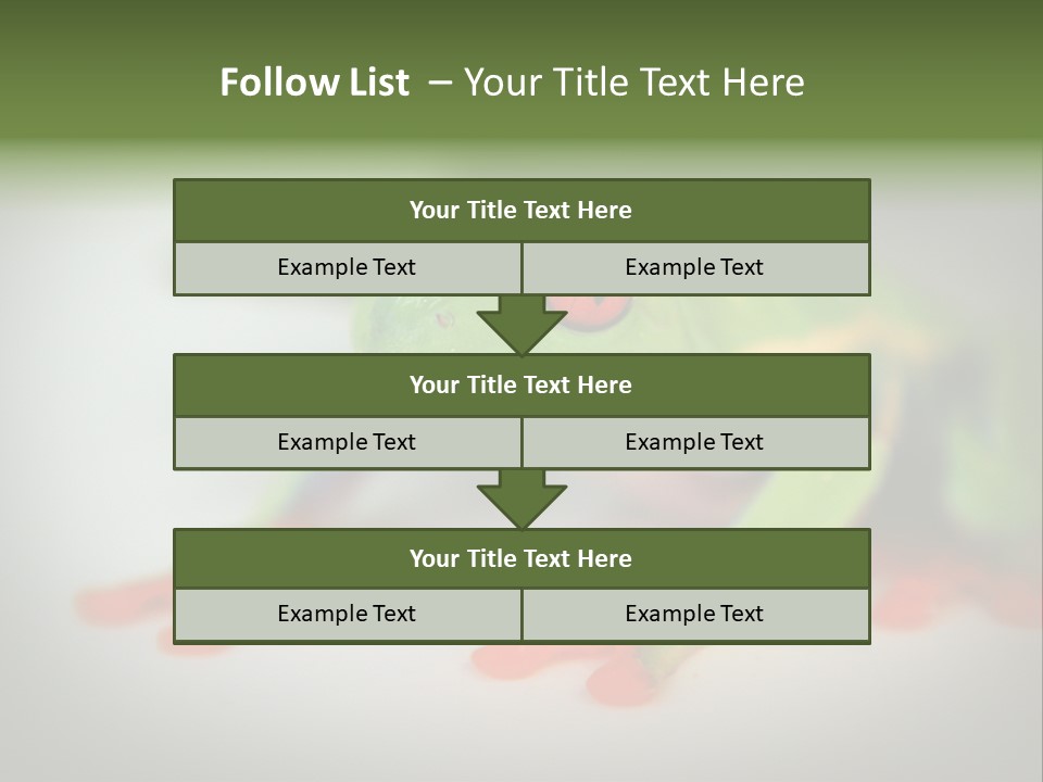 Reptile Tree Frog Colorful PowerPoint Template