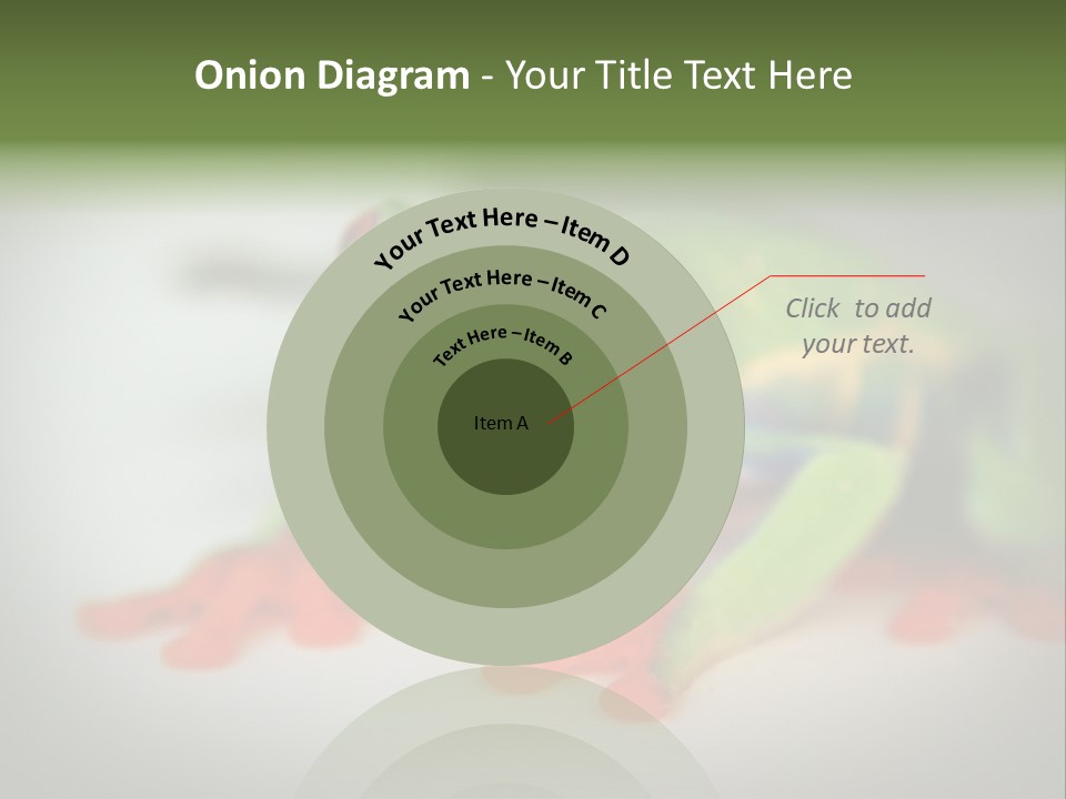 Reptile Tree Frog Colorful PowerPoint Template