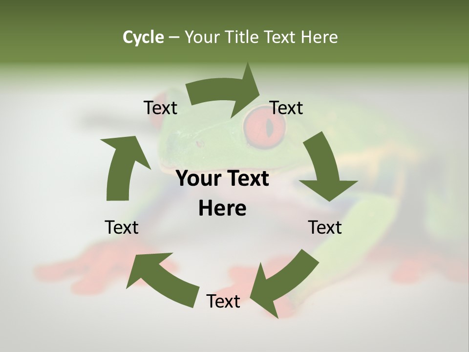 Reptile Tree Frog Colorful PowerPoint Template