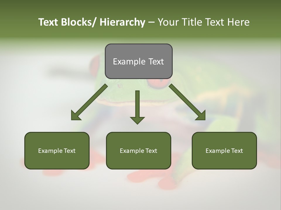 Reptile Tree Frog Colorful PowerPoint Template