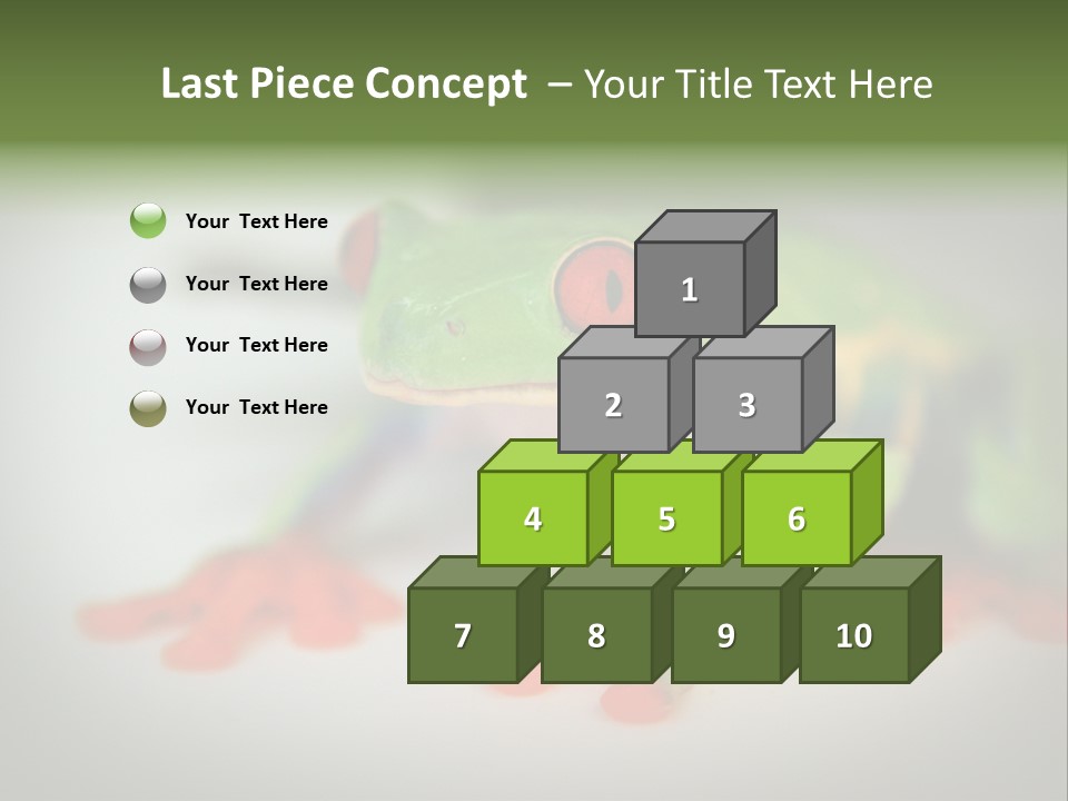 Reptile Tree Frog Colorful PowerPoint Template