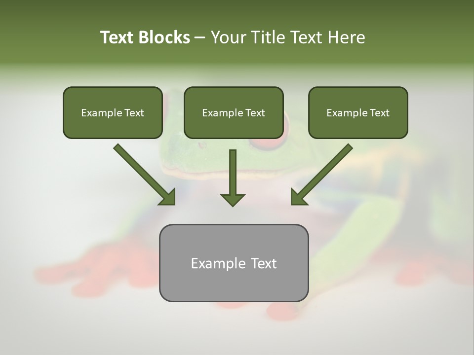Reptile Tree Frog Colorful PowerPoint Template