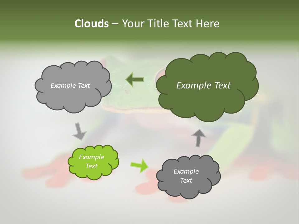 Reptile Tree Frog Colorful PowerPoint Template