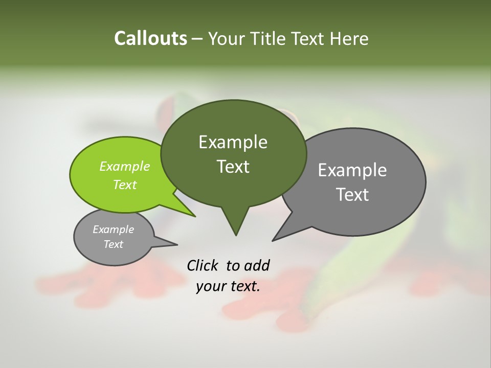 Reptile Tree Frog Colorful PowerPoint Template