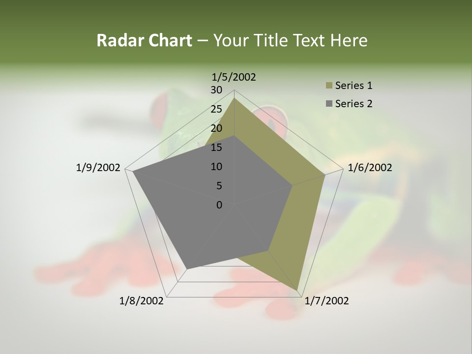 Reptile Tree Frog Colorful PowerPoint Template