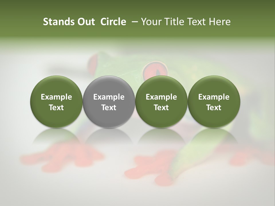 Reptile Tree Frog Colorful PowerPoint Template