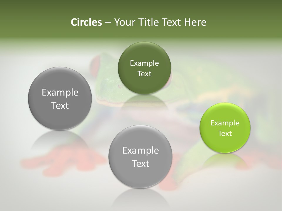 Reptile Tree Frog Colorful PowerPoint Template