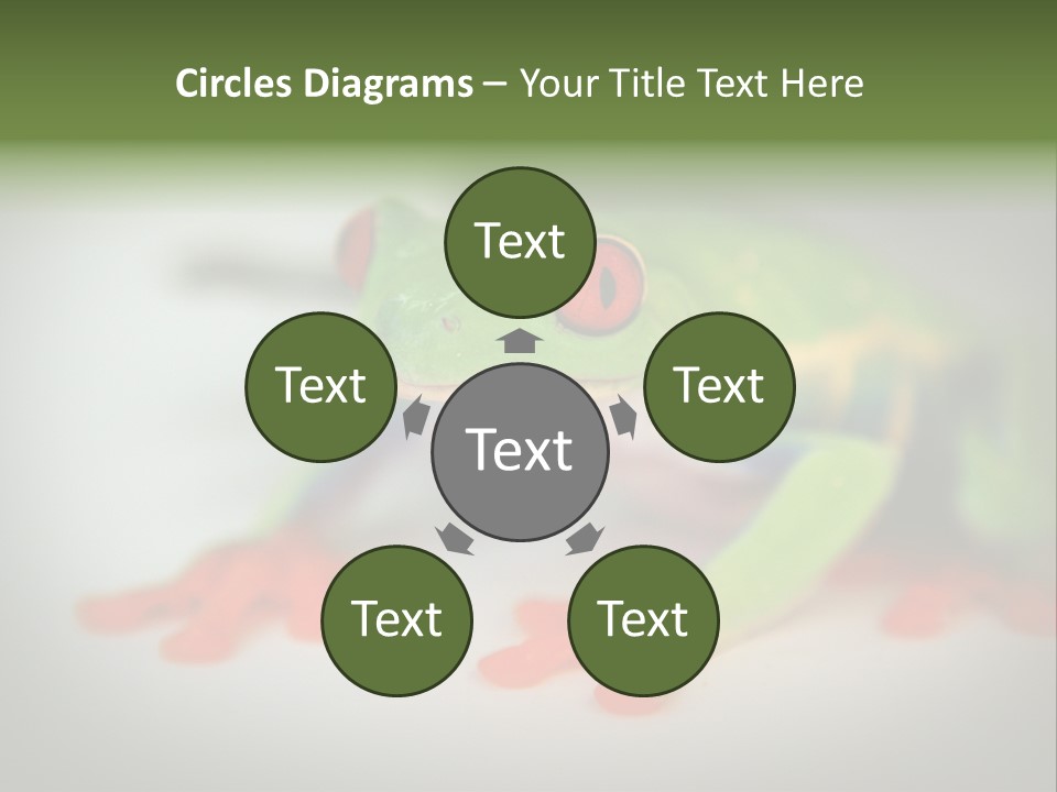 Reptile Tree Frog Colorful PowerPoint Template