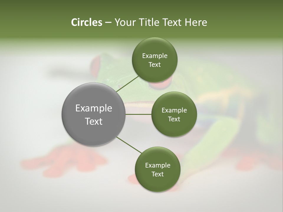 Reptile Tree Frog Colorful PowerPoint Template