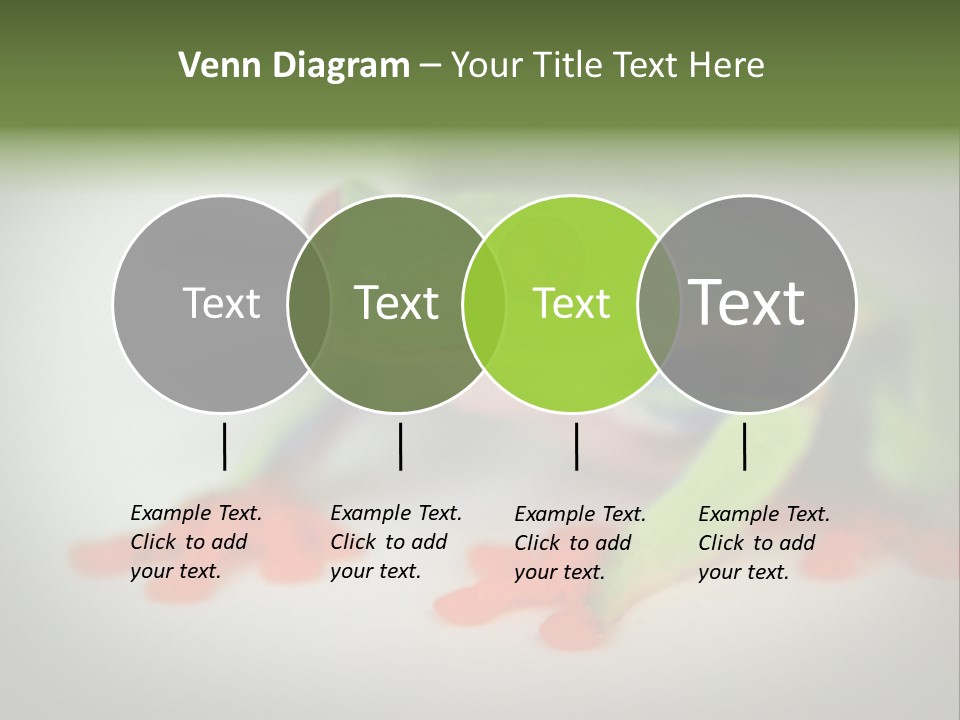 Reptile Tree Frog Colorful PowerPoint Template