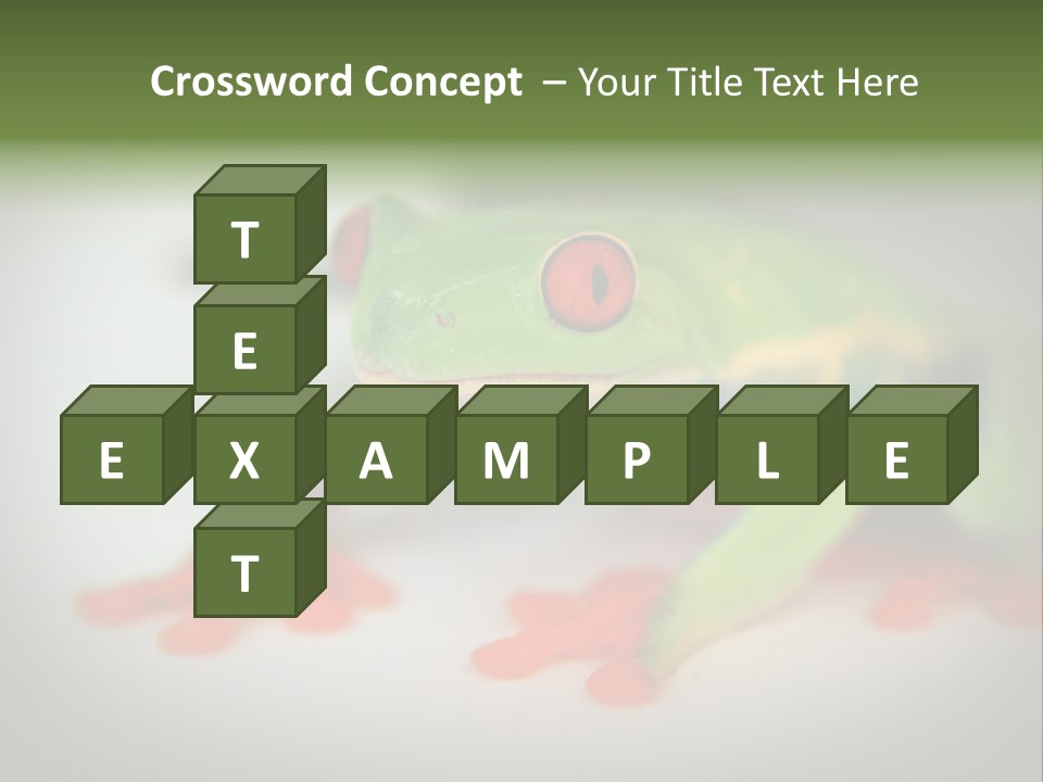 Reptile Tree Frog Colorful PowerPoint Template