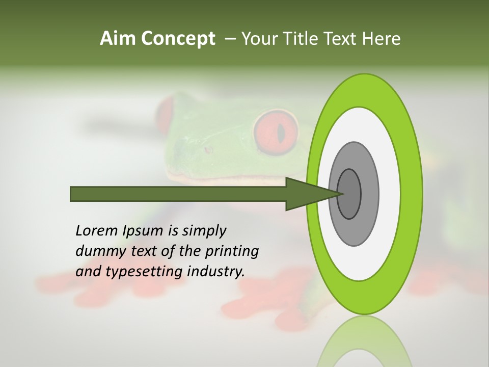 Reptile Tree Frog Colorful PowerPoint Template