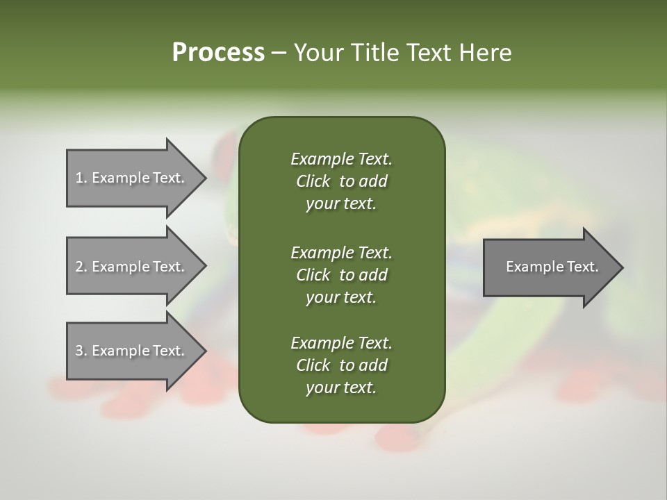 Reptile Tree Frog Colorful PowerPoint Template