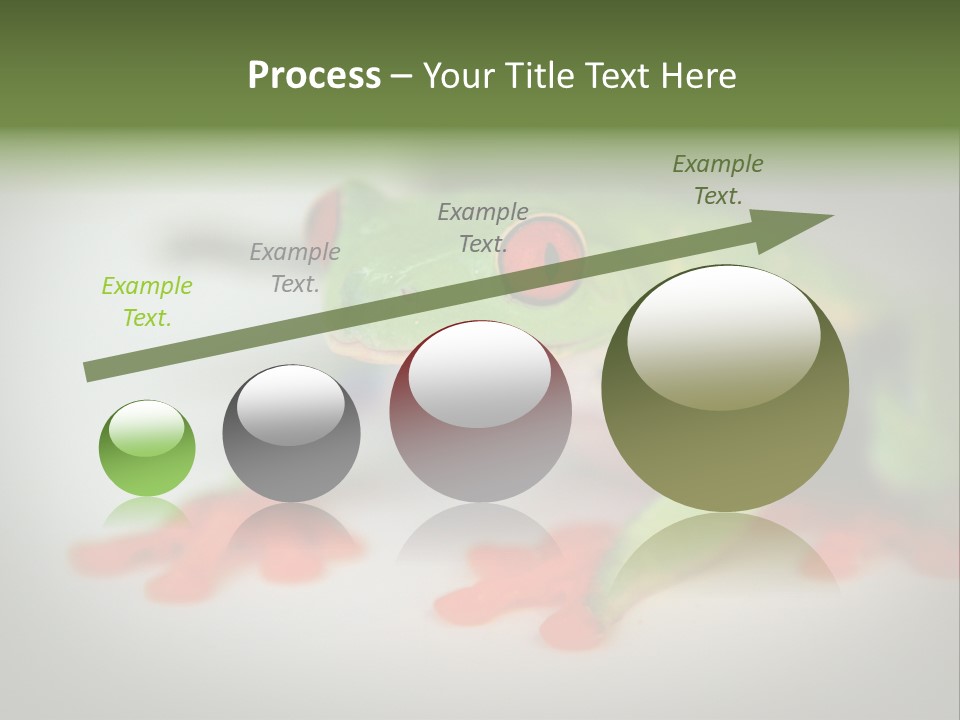 Reptile Tree Frog Colorful PowerPoint Template