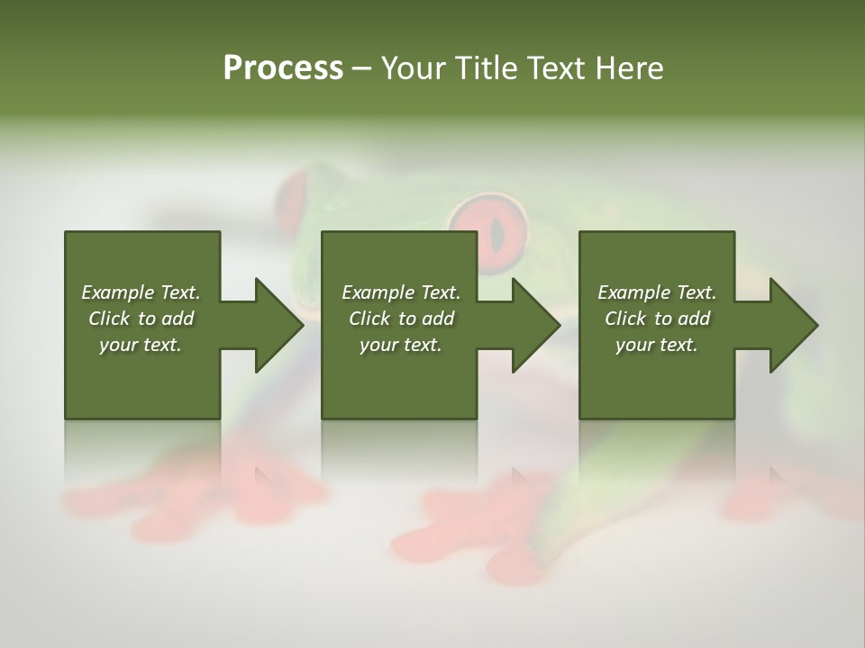 Reptile Tree Frog Colorful PowerPoint Template