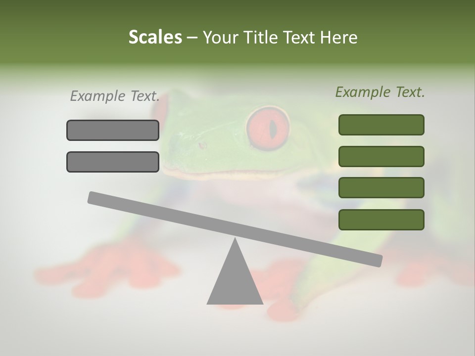 Reptile Tree Frog Colorful PowerPoint Template