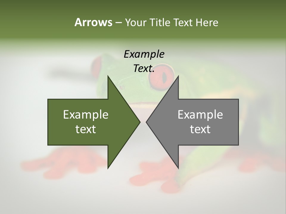 Reptile Tree Frog Colorful PowerPoint Template