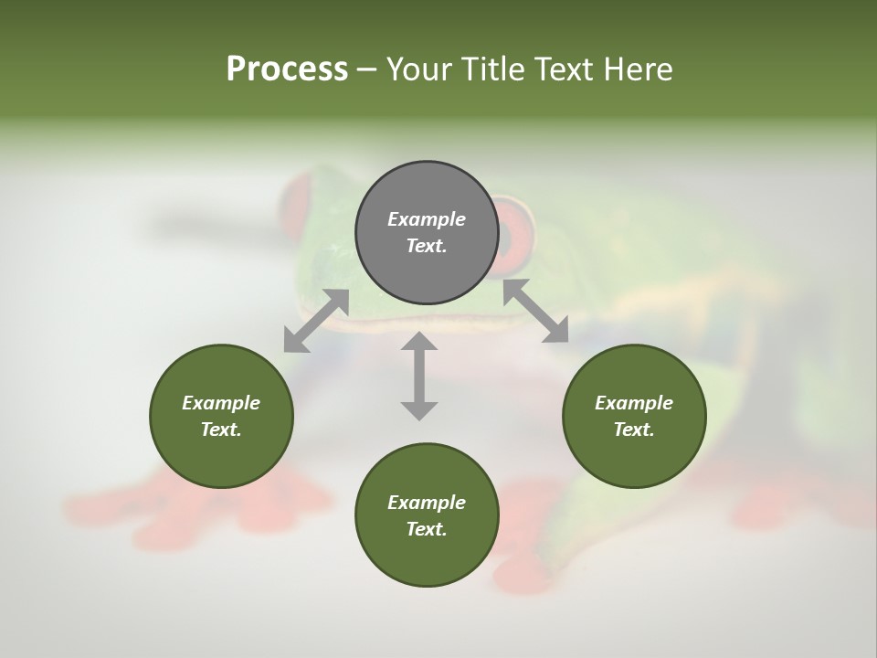 Reptile Tree Frog Colorful PowerPoint Template