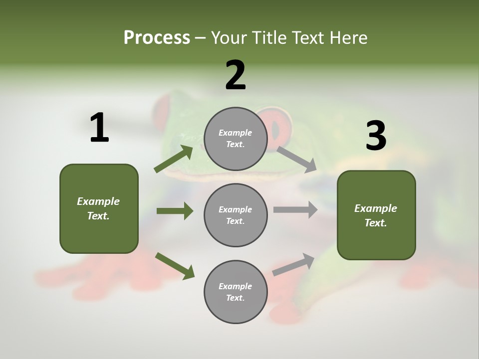 Reptile Tree Frog Colorful PowerPoint Template